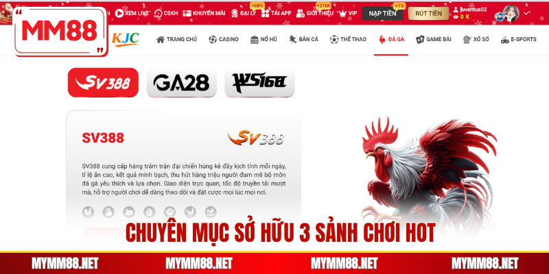 Chuyên mục sở hữu 3 sảnh chơi hot