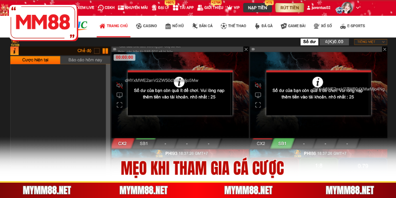 Mẹo khi tham gia cá cược